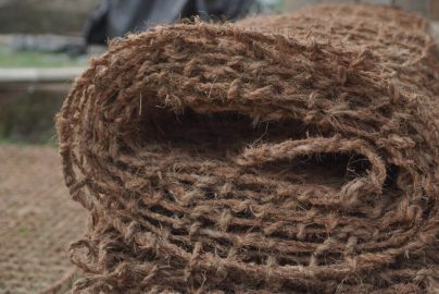 Cocomesh untuk Rehabilitasi dan Reklamasi Wilayah Pesisir