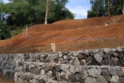 Peranan Cocomesh dalam Reklamasi Pantai Berkelanjutan