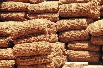 Pendapatan Tambahan Petani dari Cocomesh