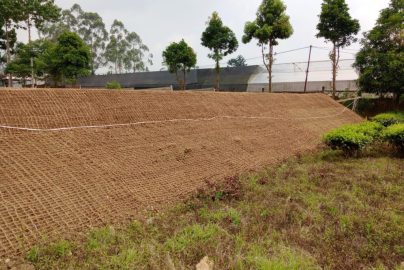 Inovasi Eksperimen Lapangan dengan Cocomesh Ramah Alam