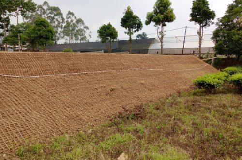 Inovasi Eksperimen Lapangan dengan Cocomesh Ramah Alam