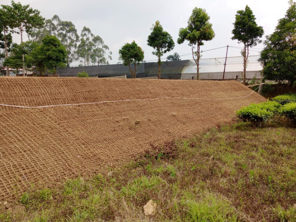 Inovasi Eksperimen Lapangan dengan Cocomesh Ramah Alam