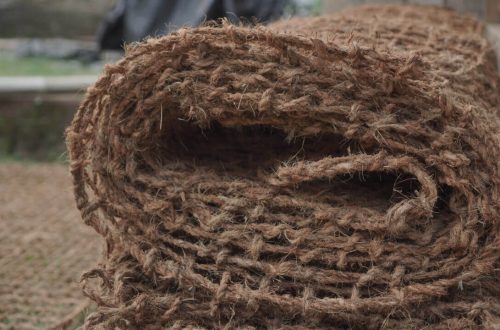 Cocomesh untuk Eksperimen Sains dan Lingkungan