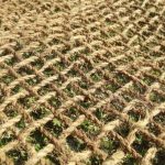 Tahapan Produksi Cocomesh yang Mudah Dipelajari