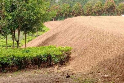 Inovasi Cocomesh dalam Pengendalian Erosi Tanah