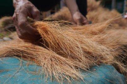 Edukasi Pemanfaatan Limbah Sabut Kelapa untuk Inovasi Hijau