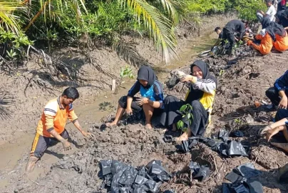 Edukasi Cocomesh bagi Komunitas Sekolah Peduli Mangrove