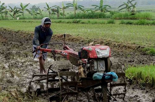 cara cepat bajak sawah