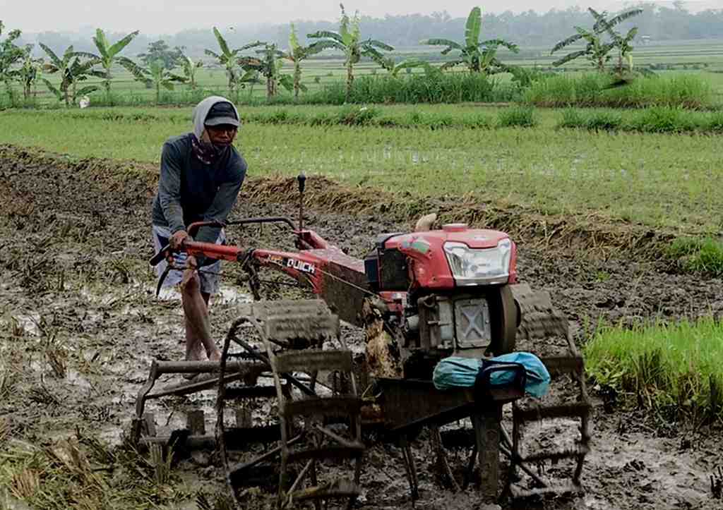 cara cepat bajak sawah