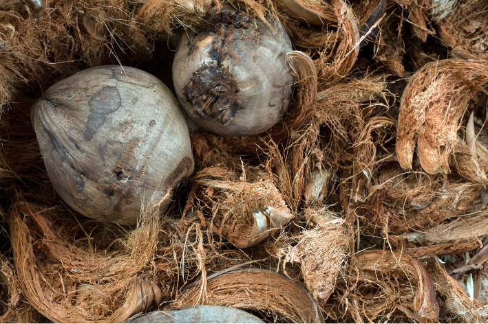 Rehabilitasi Lahan Sekolah Menggunakan Cocomesh