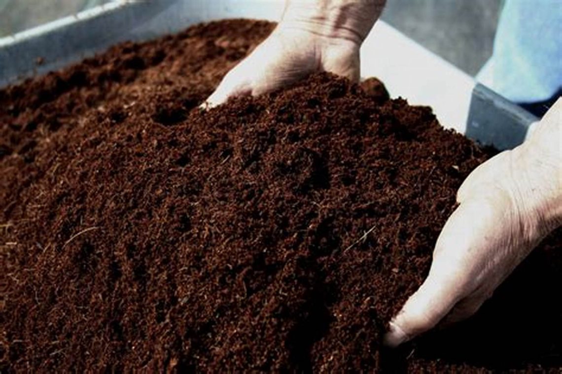 Kegiatan Tanam Pohon Menggunakan Cocomesh