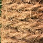 Edukasi Sabut Kelapa sebagai Teknologi Ramah Lingkungan