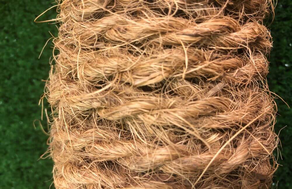 Edukasi Sabut Kelapa sebagai Teknologi Ramah Lingkungan