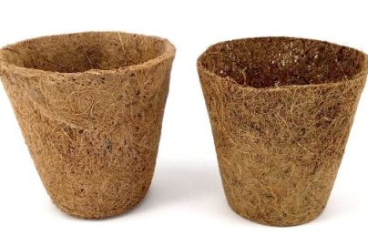 Program Adiwiyata Berbasis Pemanfaatan Limbah Sabut Kelapa