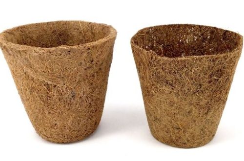 Program Adiwiyata Berbasis Pemanfaatan Limbah Sabut Kelapa