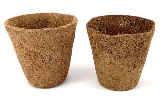 Program Adiwiyata Berbasis Pemanfaatan Limbah Sabut Kelapa