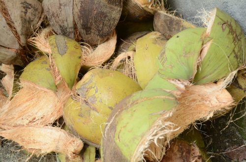 Edukasi Sabut Kelapa untuk Program Adiwiyata Sekolah