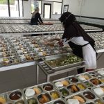 standar mbg dapur sehat