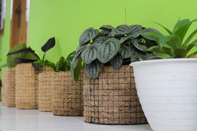 Ide Bisnis Kreatif Berbahan Dasar Sabut Kelapa