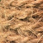 panduan pembelian cocomesh untuk pekerjaan konstruksi dan lingkungan