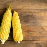 cara menggunakan mesin pemipil jagung