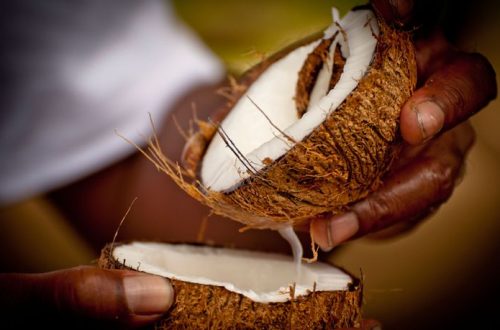 Proses Pemerasan Santan Kelapa agar