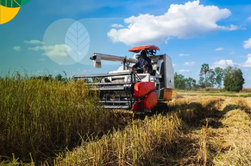 pengolahan panen otomatis