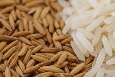 Tips Memilih Polisher Berasss