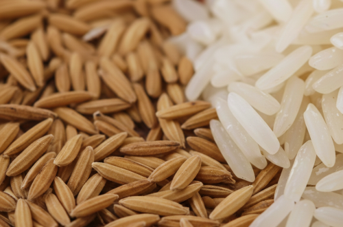 Tips Memilih Polisher Berasss