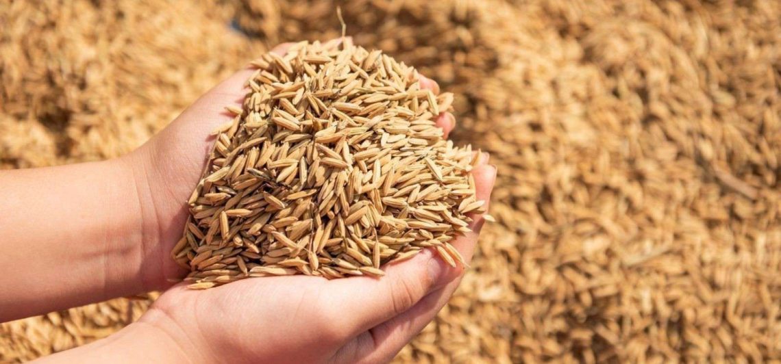 cara meningkatkan hasil panen