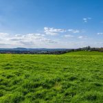 Peran Pencacah Rumput Gajah