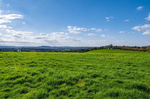 Peran Pencacah Rumput Gajah